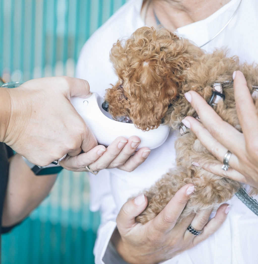 Innovativo Servizio per Pet Parent - MyDigiVet